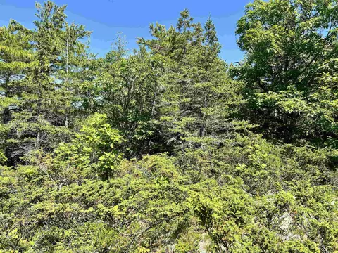 tbd 19 M26, Eagle Harbor, MI 49950 photo 18