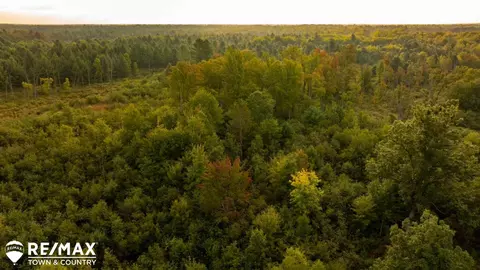 7 Acres M-30, Gladwin, MI 48624 photo 4