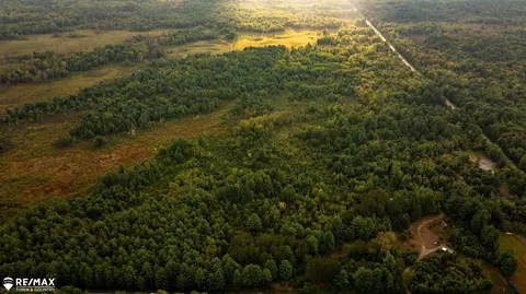 7 Acres M-30, Gladwin, MI 48624 photo 16