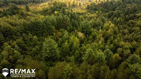 7 Acres M-30, Gladwin, MI 48624 photo 14