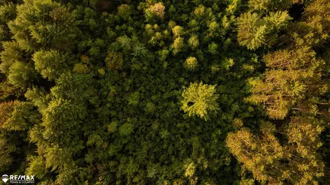 7 Acres M-30, Gladwin, MI 48624 photo 3