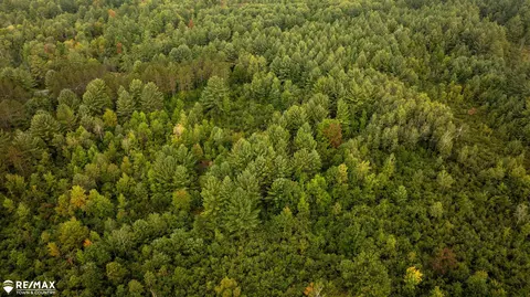 7 Acres M-30, Gladwin, MI 48624 photo 17