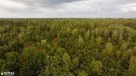 7 Acres M-30, Gladwin, MI 48624 photo 8