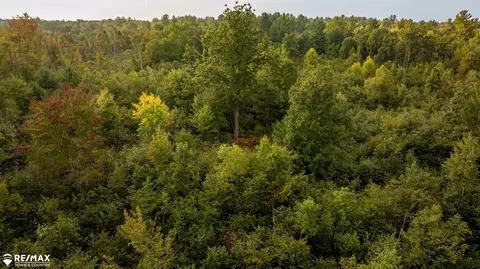 7 Acres M-30, Gladwin, MI 48624 photo 9