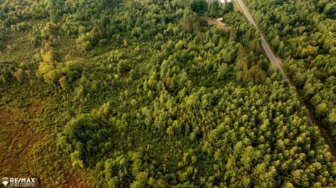 7 Acres M-30, Gladwin, MI 48624 photo 7