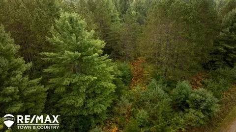 7 Acres M-30, Gladwin, MI 48624 photo 19