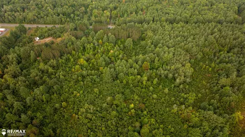 7 Acres M-30, Gladwin, MI 48624 photo 15