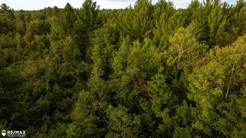 7 Acres M-30, Gladwin, MI 48624 photo 10