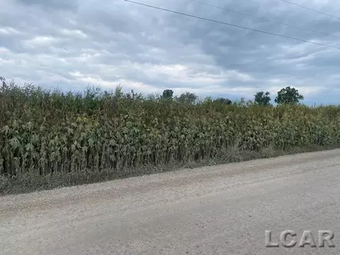 0 Mccullum, Manchester, MI 48158