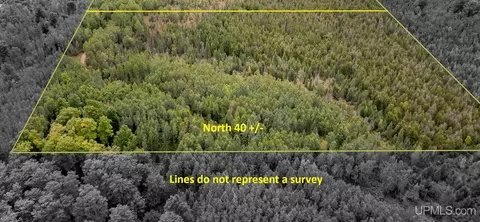 tbd Off River Road North 40, Perronville, MI 49873