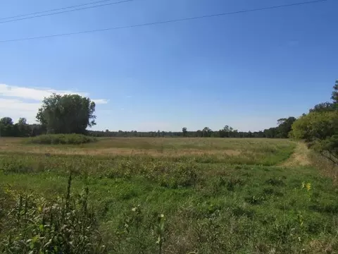 V/l Morrice Rd., Owosso, MI 48867 photo 2