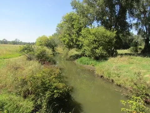 V/l Morrice Rd., Owosso, MI 48867 photo 3