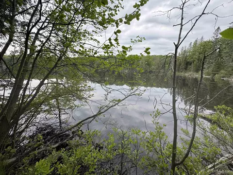 9 Acres Porter Lk, Crystal Falls, MI 49920