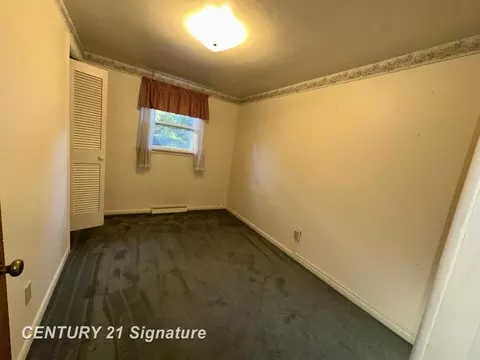11029 Bare, Clio, MI 48420 photo 17