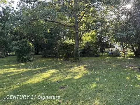 11029 Bare, Clio, MI 48420 photo 43