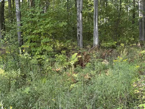 V/l Jerry, Harrison, MI 48632 photo 5