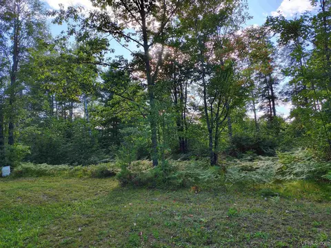 1709 Little, Little Lake, MI 49833