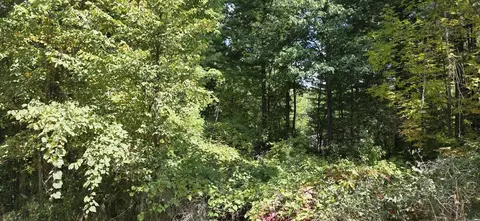 lot47 Shearer #LOT 48 BLACKBERRY, Gladwin, MI 48624