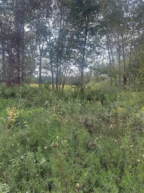4 Ashley, Allenton, MI 48002