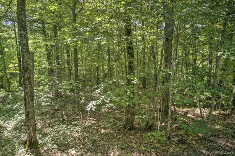 tbd Lake Medora, Eagle Harbor, MI 49950 photo 15