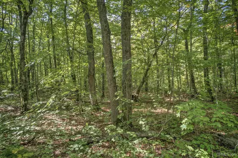 tbd Lake Medora, Eagle Harbor, MI 49950 photo 17