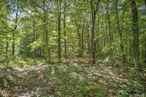 tbd Lake Medora, Eagle Harbor, MI 49950 photo 16