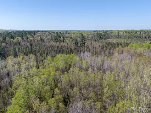Off Rifle Range, Watersmeet, MI 49969 photo 6