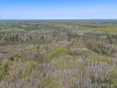 Off Rifle Range, Watersmeet, MI 49969 photo 7