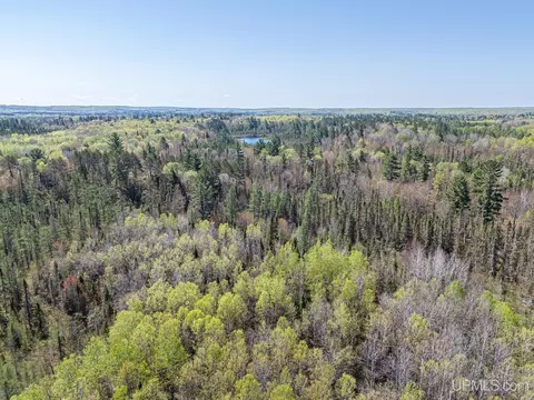 Off Rifle Range, Watersmeet, MI 49969 photo 3