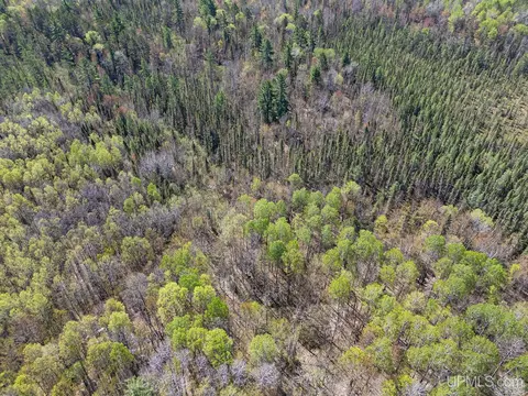 Off Rifle Range, Watersmeet, MI 49969 photo 4