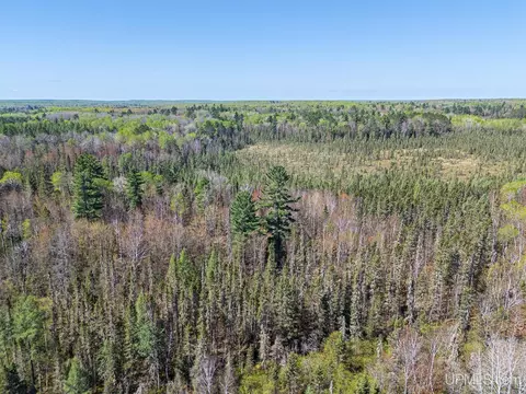 Off Rifle Range, Watersmeet, MI 49969 photo 15