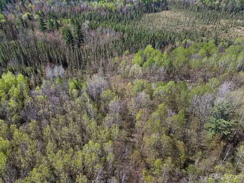 Off Rifle Range, Watersmeet, MI 49969 photo 5