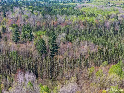 Off Rifle Range, Watersmeet, MI 49969 photo 14