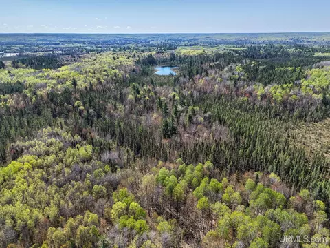 Off Rifle Range, Watersmeet, MI 49969 photo 11