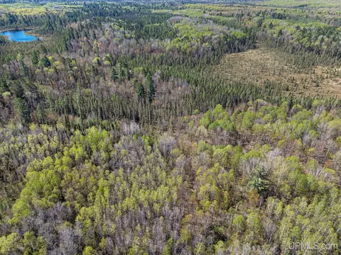 Off Rifle Range, Watersmeet, MI 49969 photo 12
