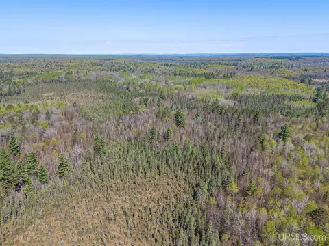 Off Rifle Range, Watersmeet, MI 49969 photo 8