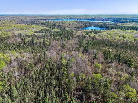 Off Rifle Range, Watersmeet, MI 49969 photo 2