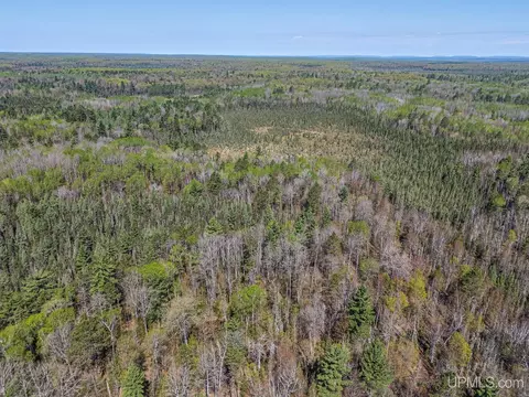 Off Rifle Range, Watersmeet, MI 49969 photo 9