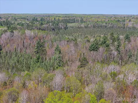 Off Rifle Range, Watersmeet, MI 49969 photo 16
