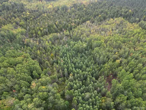 tbd Off Cr 426, Cornell, MI 49818 photo 2