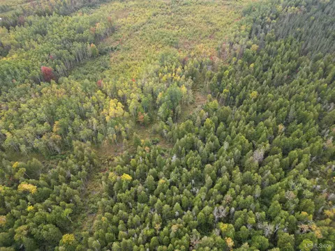 tbd Off Cr 426, Cornell, MI 49818 photo 3