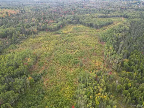 tbd Off Cr 426, Cornell, MI 49818 photo 6