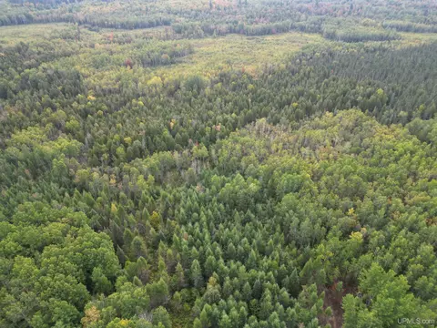 tbd Off Cr 426, Cornell, MI 49818 photo 5