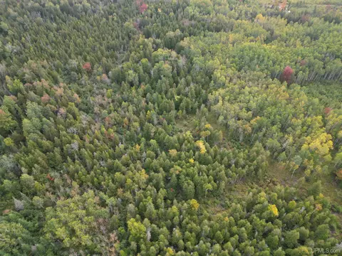 tbd Off Cr 426, Cornell, MI 49818 photo 4