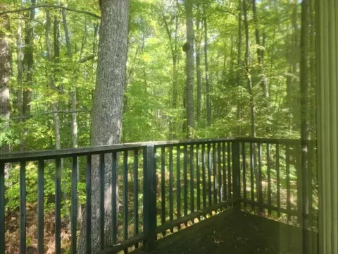 Exterior - 3143 Forest, Harrison, MI 48625 photo 5 of 6