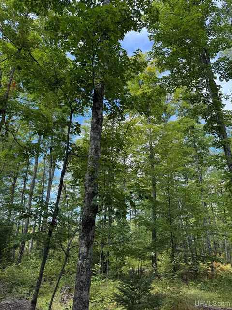 tbd Kiviranta, Nisula, MI 49952