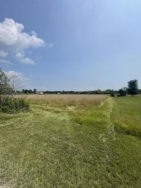 Vacant Omo, New Haven, MI 48050