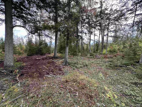 705 Winters, Trenary, MI 49891 photo 11