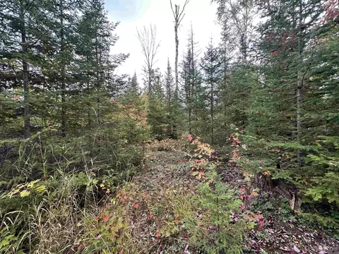 705 Winters, Trenary, MI 49891 photo 8