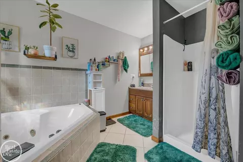 Bath - 10175 Spring Arbor, Spring Arbor, MI 49283 photo 7 of 7